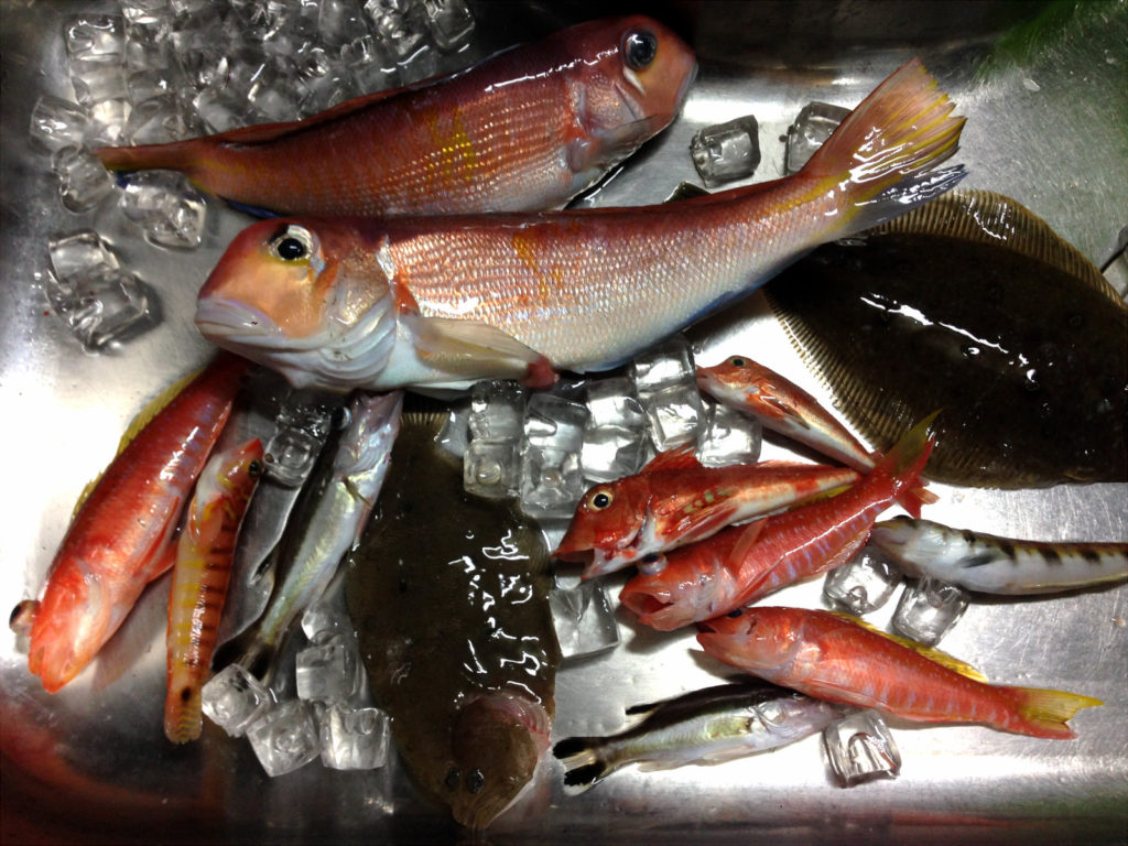 芝崎 五エム丸 アマダイ船で初釣り！