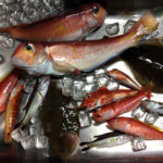 芝崎 五エム丸 アマダイ船で初釣り！