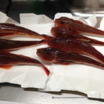 平塚 庄三郎丸 ホウボウ船で激渋の中なんとか7匹！