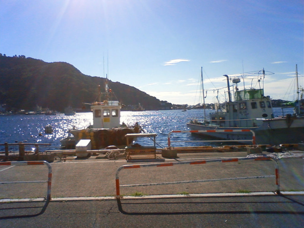 西伊豆 戸田湾 ちどり丸の係留船での釣りを攻略