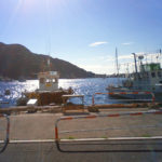 西伊豆 戸田湾 ちどり丸の係留船での釣りを攻略